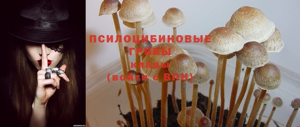 мдпв Сафоново