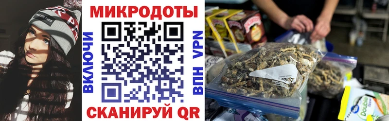 Галлюциногенные грибы мухоморы  Судак 
