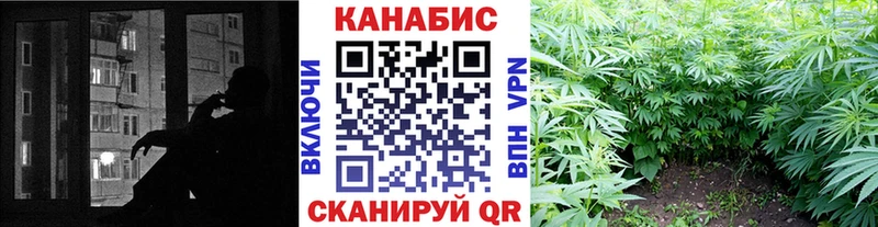 Конопля Ganja  Судак 